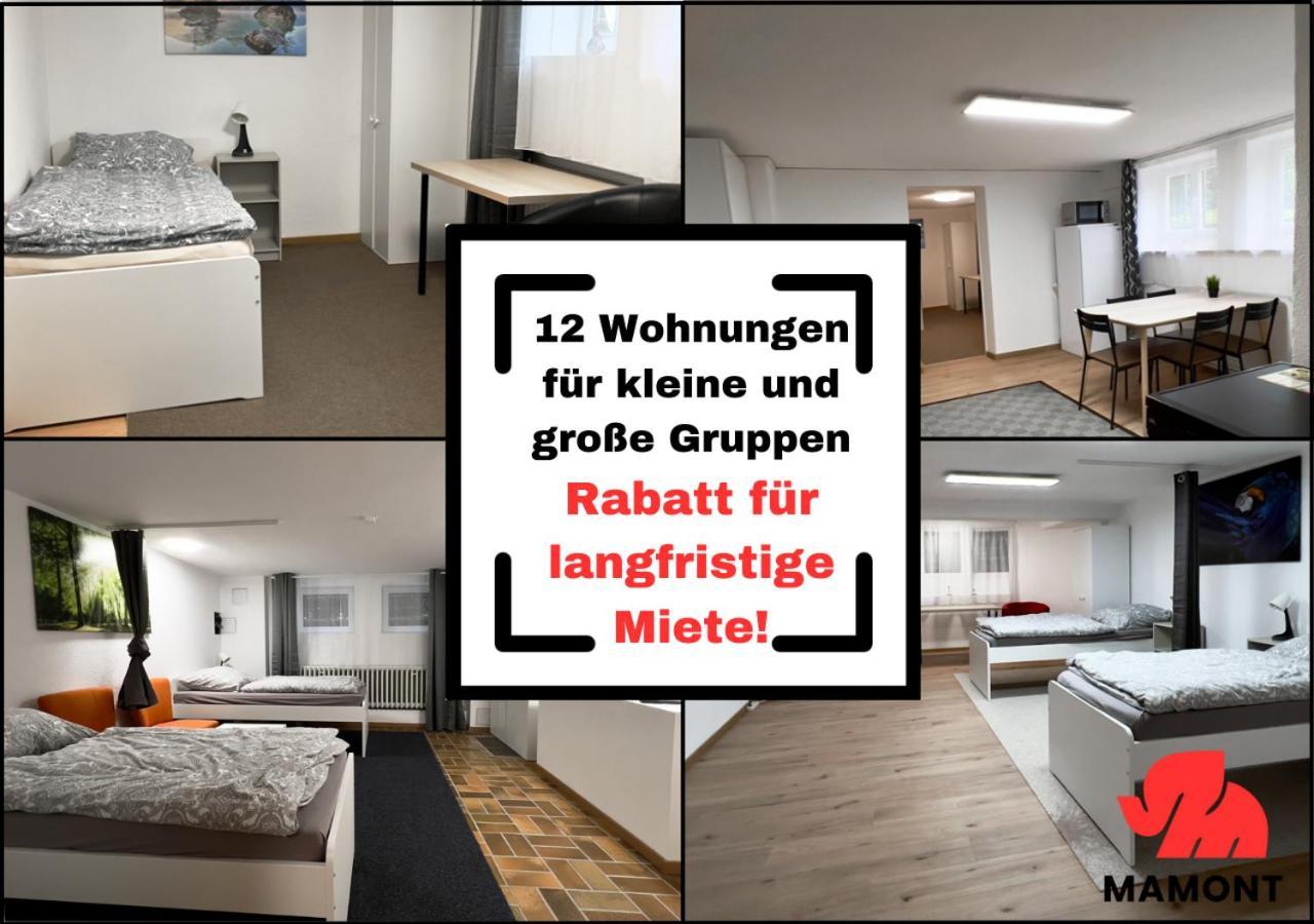 Schoene, Grosse Monteurwohnung Im Souterrain *
